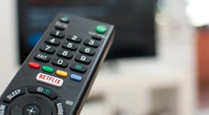 The Data Science Life Cycle